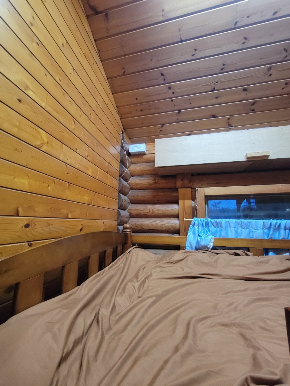 20230629白蟻餌站施工的第4張圖片